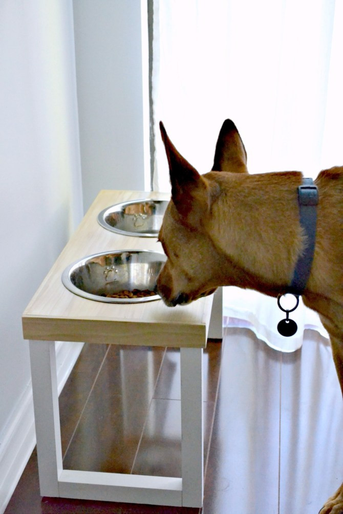Best ideas about DIY Dog Feeder
. Save or Pin The Best DIY Projects of 2016 The Ugly Duckling House Now.