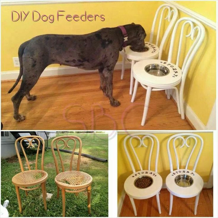 Best ideas about DIY Dog Feeder
. Save or Pin Great idea diy dog feeders DIY Pinterest Now.