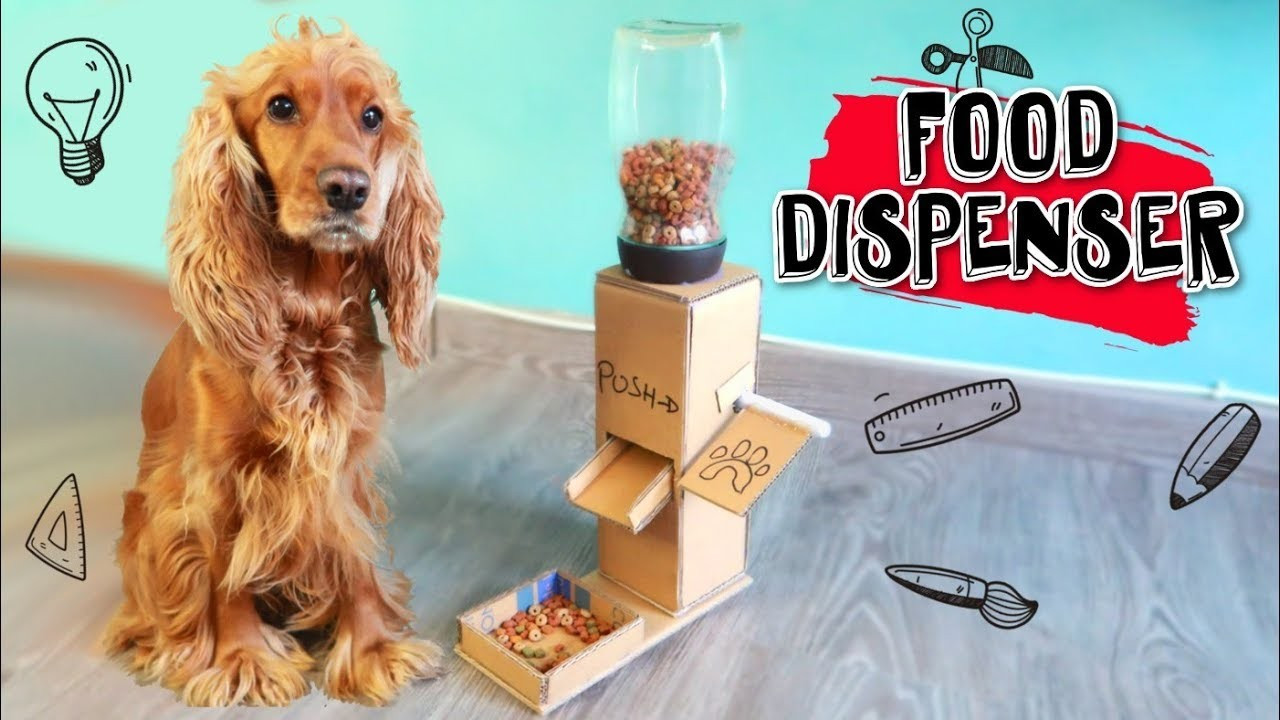 Best ideas about DIY Dog Food Dispenser
. Save or Pin DIY Puppy Dog Food Dispenser from Cardboard at Home Now.