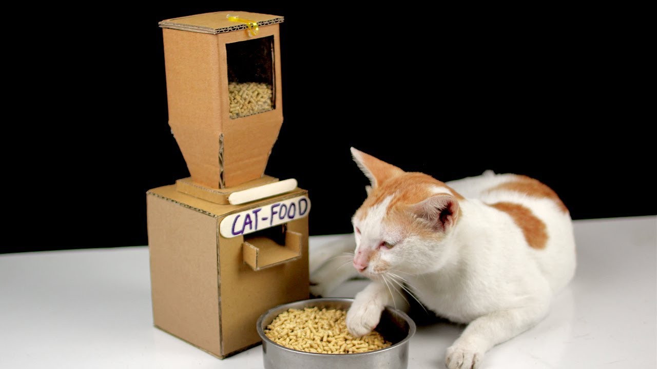 Best ideas about DIY Dog Food Dispenser
. Save or Pin Diy Tom Cat Food Dispenser From Cardboard at Home [ Mr H2 Now.