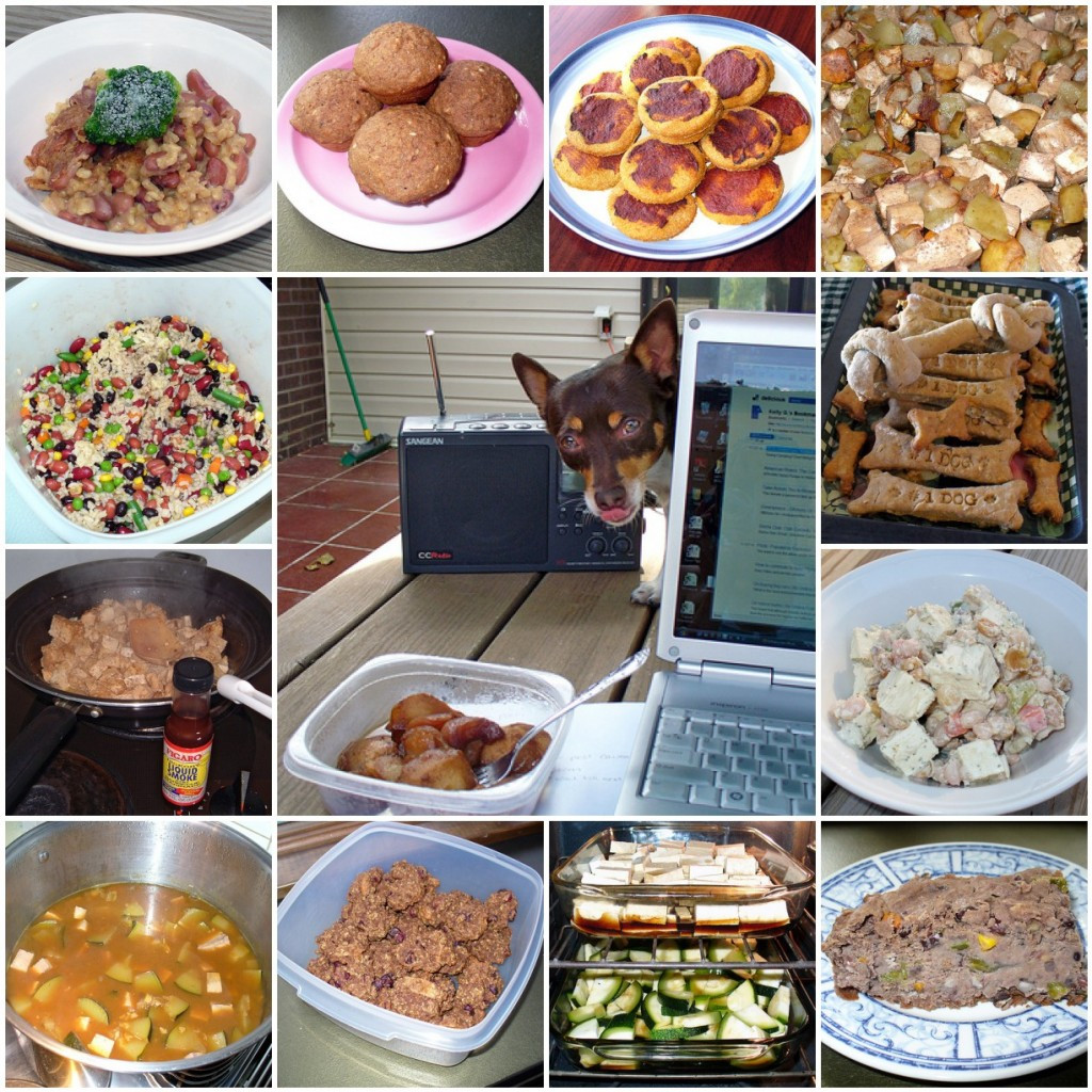 Best ideas about DIY Dog Food
. Save or Pin How to Make Homemade Food for Dogs Now.