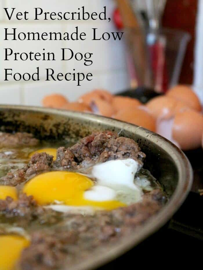 Best ideas about DIY Dog Food Recipe
. Save or Pin Homemade Dog Food Recipes Low Protein Now.
