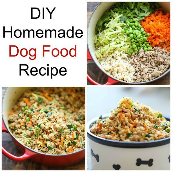 Best ideas about DIY Dog Food Recipe
. Save or Pin Best 25 Raw dog food ideas on Pinterest Now.