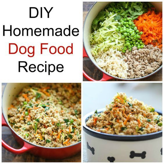 Best ideas about DIY Dog Food Recipes
. Save or Pin Best 25 Raw dog food ideas on Pinterest Now.