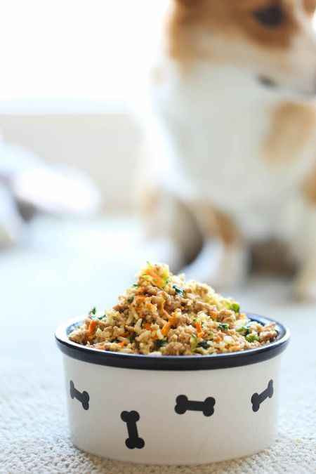 Best ideas about DIY Dog Food Recipes
. Save or Pin 18 Best Homemade Dog Food And Treat Recipes Now.