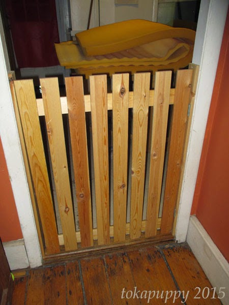 Best ideas about DIY Dog Gate
. Save or Pin Wild into Suburbia DIY Dog Gate Now.