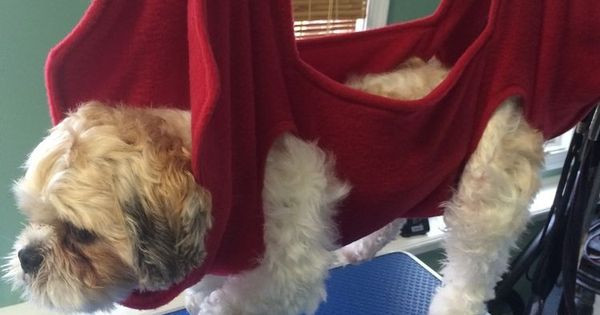 Best ideas about DIY Dog Grooming Hammock
. Save or Pin dog grooming hammock can diy a version for mobility Now.