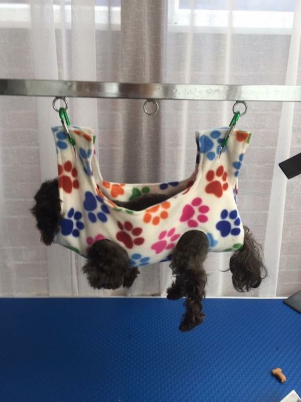 Best ideas about DIY Dog Grooming Hammock
. Save or Pin 17 Best images about dog grooming hammock on Pinterest Now.