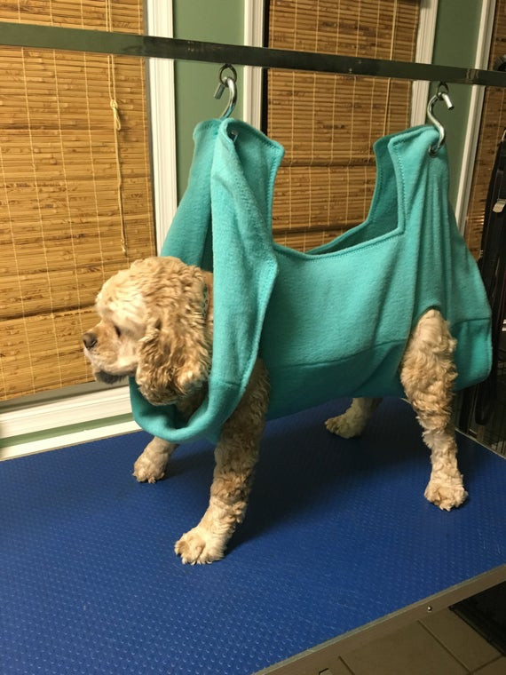 Best ideas about DIY Dog Grooming Hammock
. Save or Pin Hammock Helper Grooming Hammock Grooming and Nail Trimming Now.
