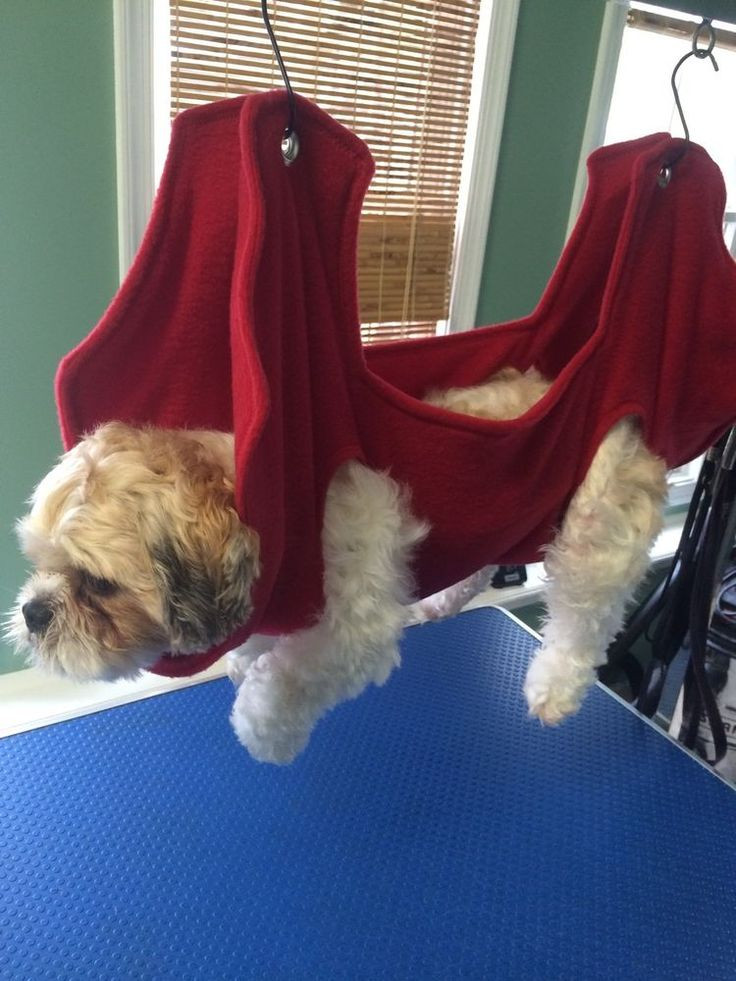 Best ideas about DIY Dog Grooming Hammock
. Save or Pin 1000 images about Dog sling on Pinterest Now.