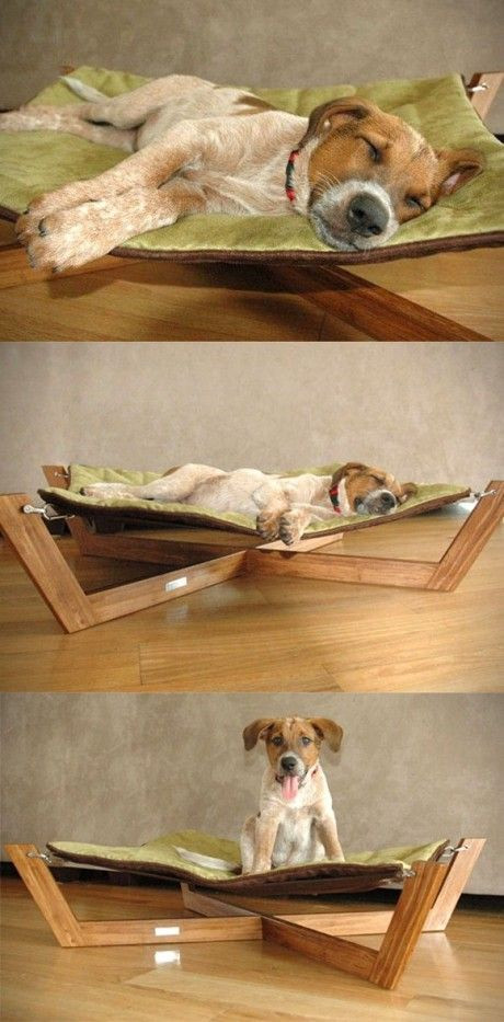 Best ideas about DIY Dog Grooming Hammock
. Save or Pin 25 Best Ideas about Dog Hammock on Pinterest Now.