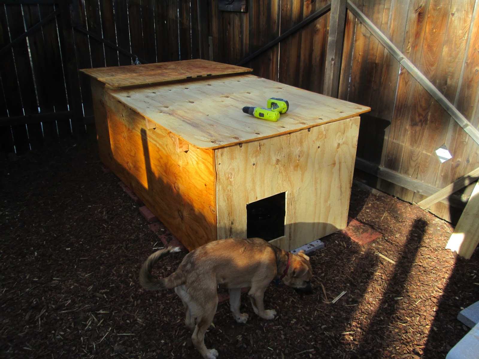 Best ideas about DIY Dog House Heater
. Save or Pin Ancient Pathways Survival School LLC DIY Dog House Plans Now.