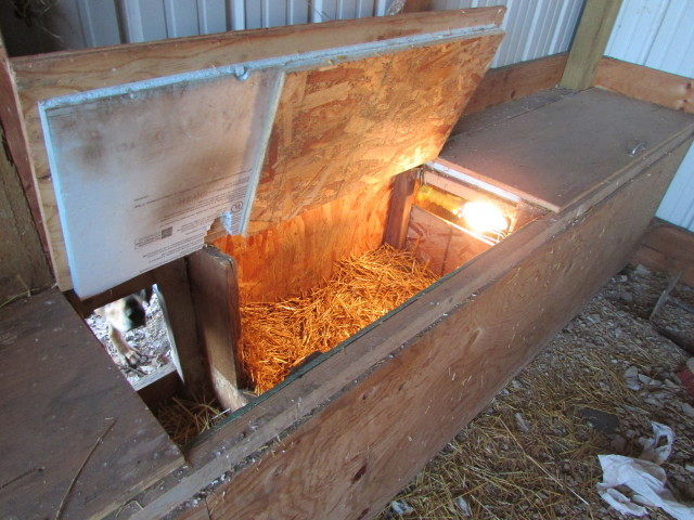 Best ideas about DIY Dog House Heater
. Save or Pin dog house heater ideas BigGameHoundsmen Now.