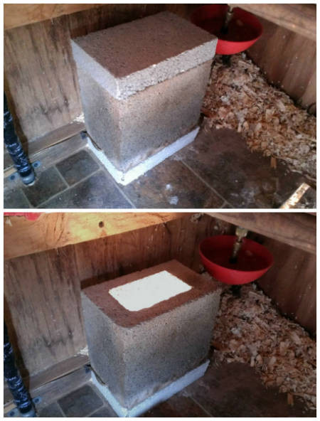 Best ideas about DIY Dog House Heater
. Save or Pin How To Build An Automatic Chicken Coop Dog Kennel Heater Now.