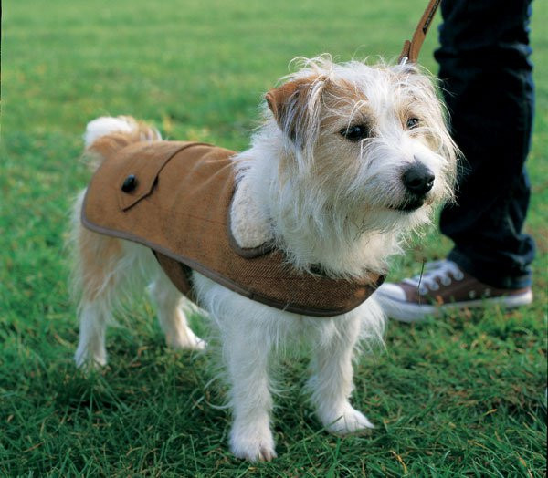 Best ideas about DIY Dog Jacket
. Save or Pin 35 DIY Dog Coats Now.