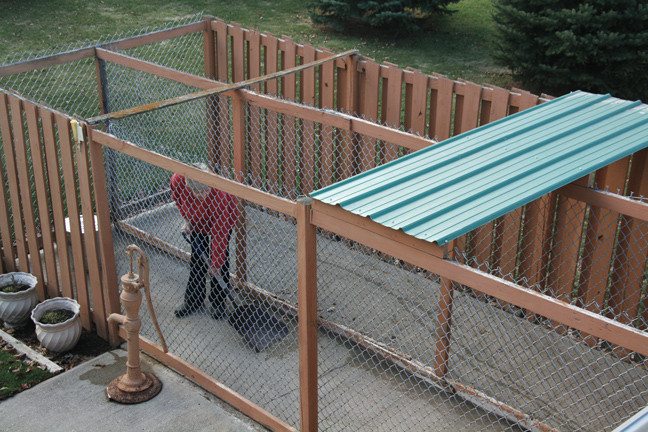 Best ideas about DIY Dog Kennels Plans
. Save or Pin How To Build the Perfect Dog Kennel Gun Dog Now.