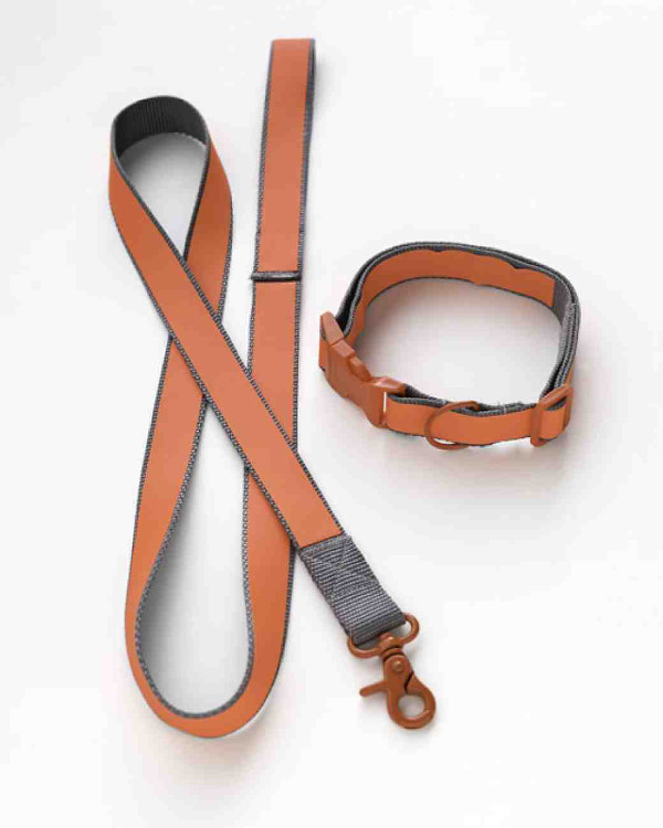 Best ideas about DIY Dog Leashes
. Save or Pin Dog I Y 10 Stylish DIY Dog Collars Leashes and Now.