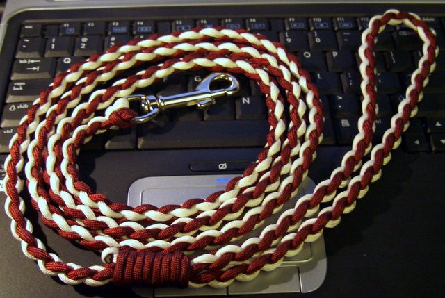 Best ideas about DIY Dog Leashes
. Save or Pin How to make a paracord dog leash Going EverGreen Now.