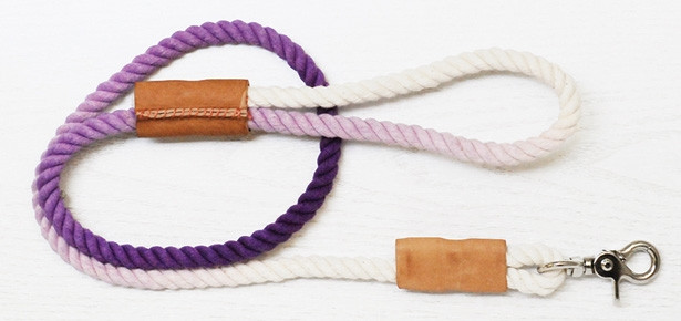Best ideas about DIY Dog Leashes
. Save or Pin DIY Craft Dip Dyed Ombre Leash Now.