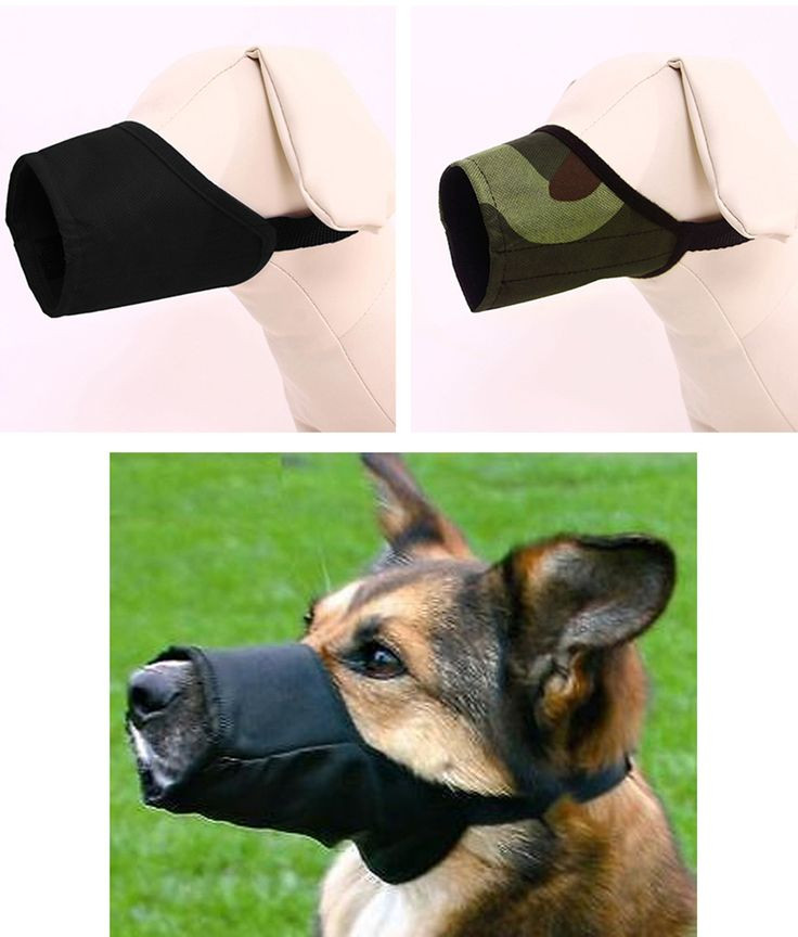 Best ideas about DIY Dog Muzzle
. Save or Pin Best 25 Dog mask ideas on Pinterest Now.
