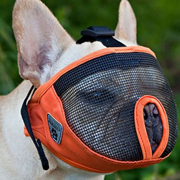 Best ideas about DIY Dog Muzzle
. Save or Pin Best 25 Dog muzzle ideas on Pinterest Now.