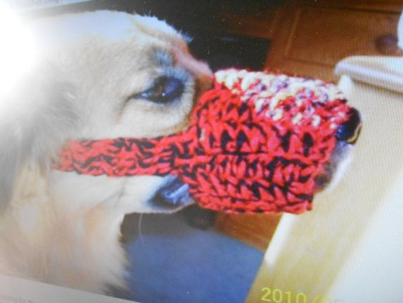 Best ideas about DIY Dog Muzzle
. Save or Pin Crochet dog muzzle by stephsyaya on Etsy $7 00 Now.