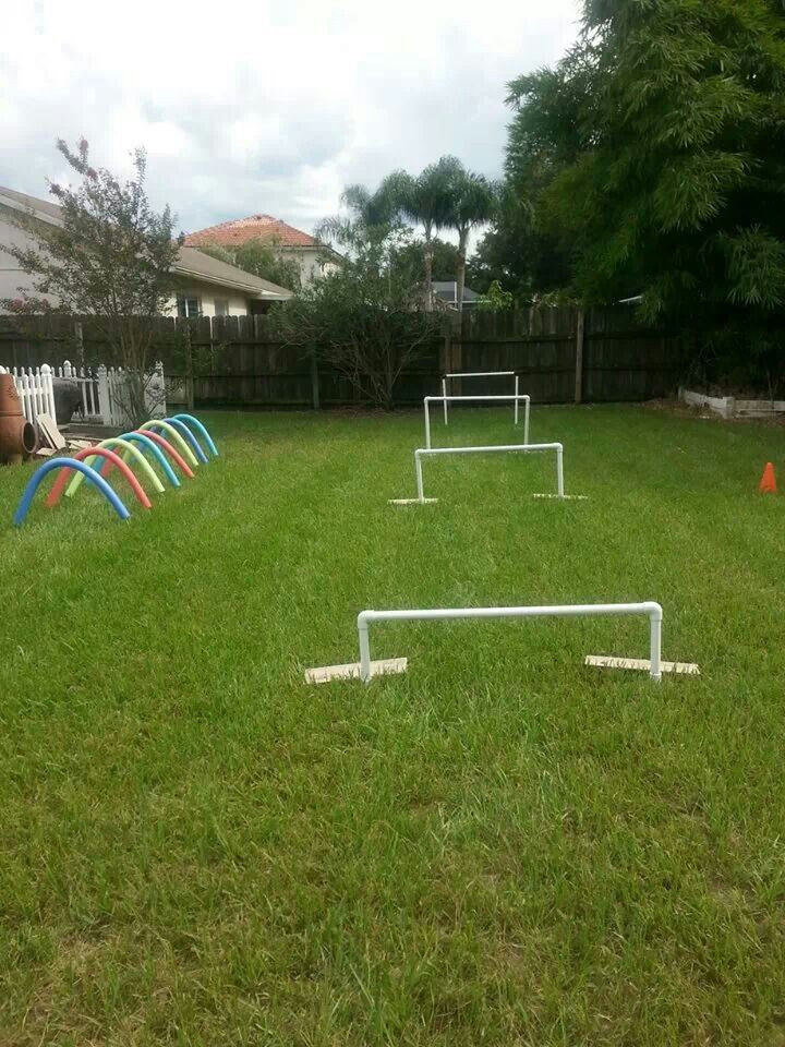Best ideas about DIY Dog Obstacle Course
. Save or Pin Homemade obstacle hurdles out of pvc piping 2 10ft 1"pipe Now.