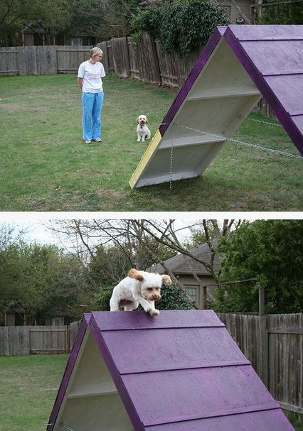 Best ideas about DIY Dog Obstacle Course
. Save or Pin 25 best ideas about Dog agility on Pinterest Now.
