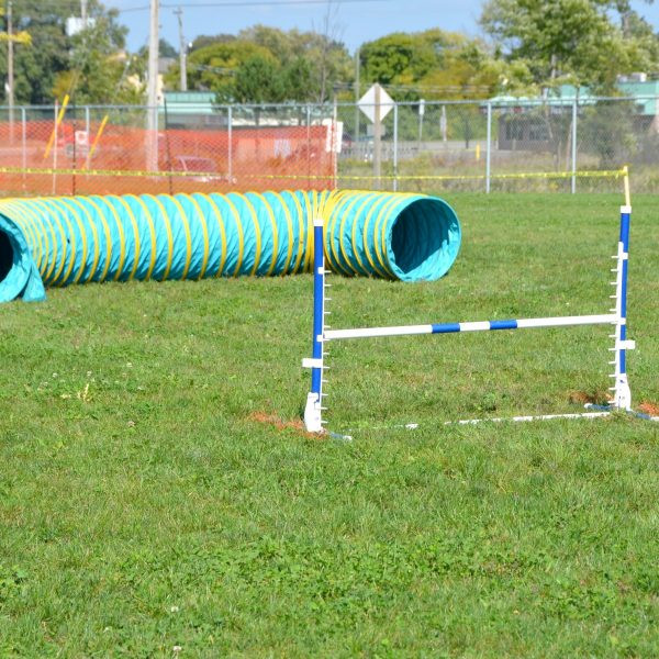Best ideas about DIY Dog Obstacle Course
. Save or Pin How to Create a DIY Obstacle Course for Your Dog Now.