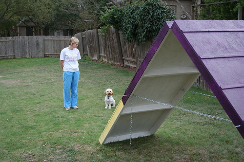 Best ideas about DIY Dog Obstacle Course
. Save or Pin DIY Dog Agility A Frame Now.