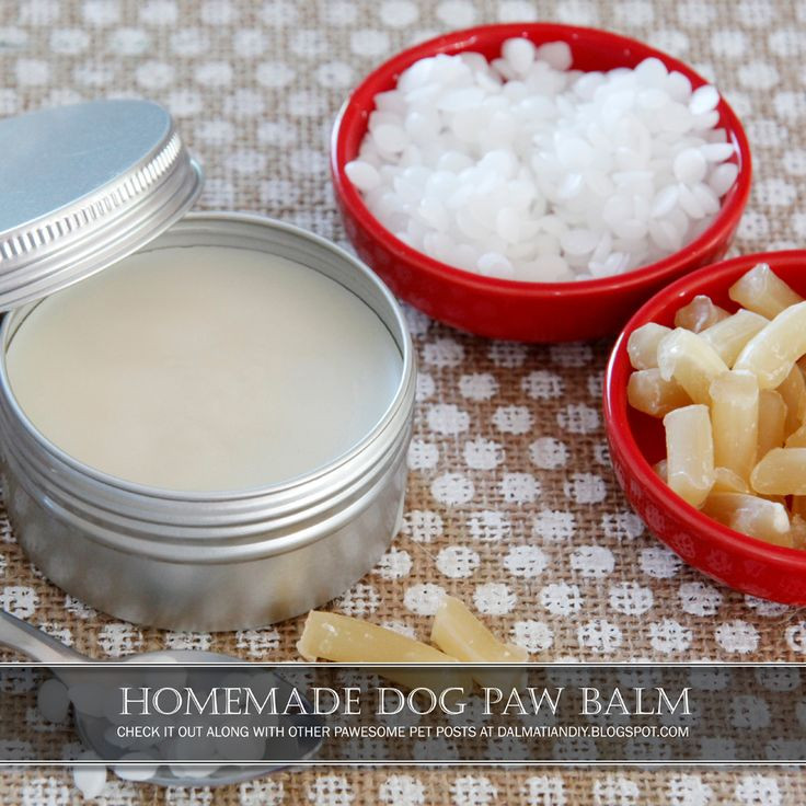 Best ideas about DIY Dog Paw Balm
. Save or Pin Best 25 Dog paws ideas on Pinterest Now.