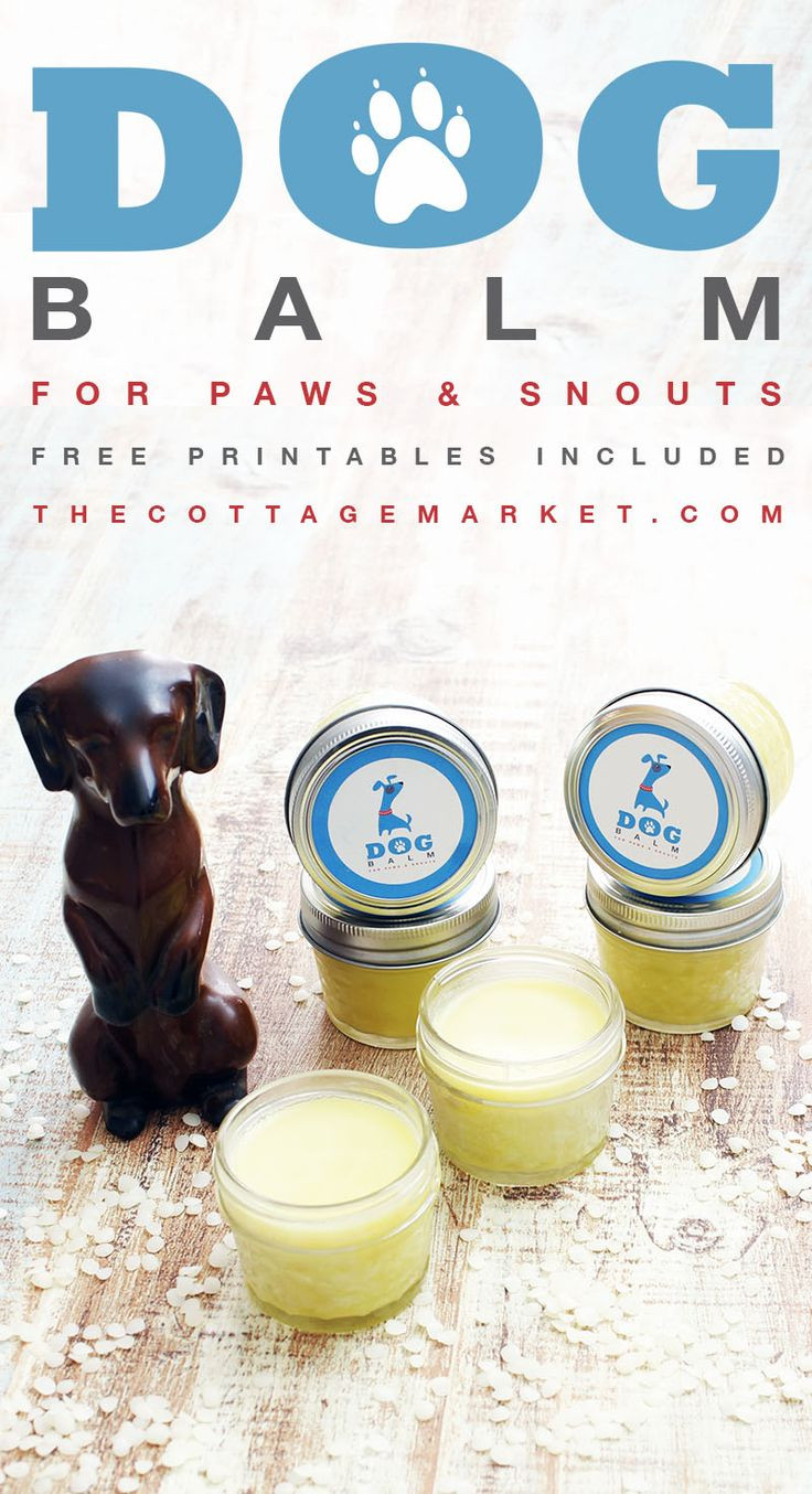 Best ideas about DIY Dog Paw Balm
. Save or Pin best Mason Jar Crafts images on Pinterest Now.