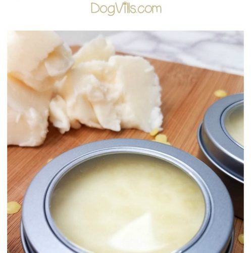 Best ideas about DIY Dog Paw Balm
. Save or Pin Easy DIY Paw Balm Recipe to Smooth Your Dogs Rough Pads Now.
