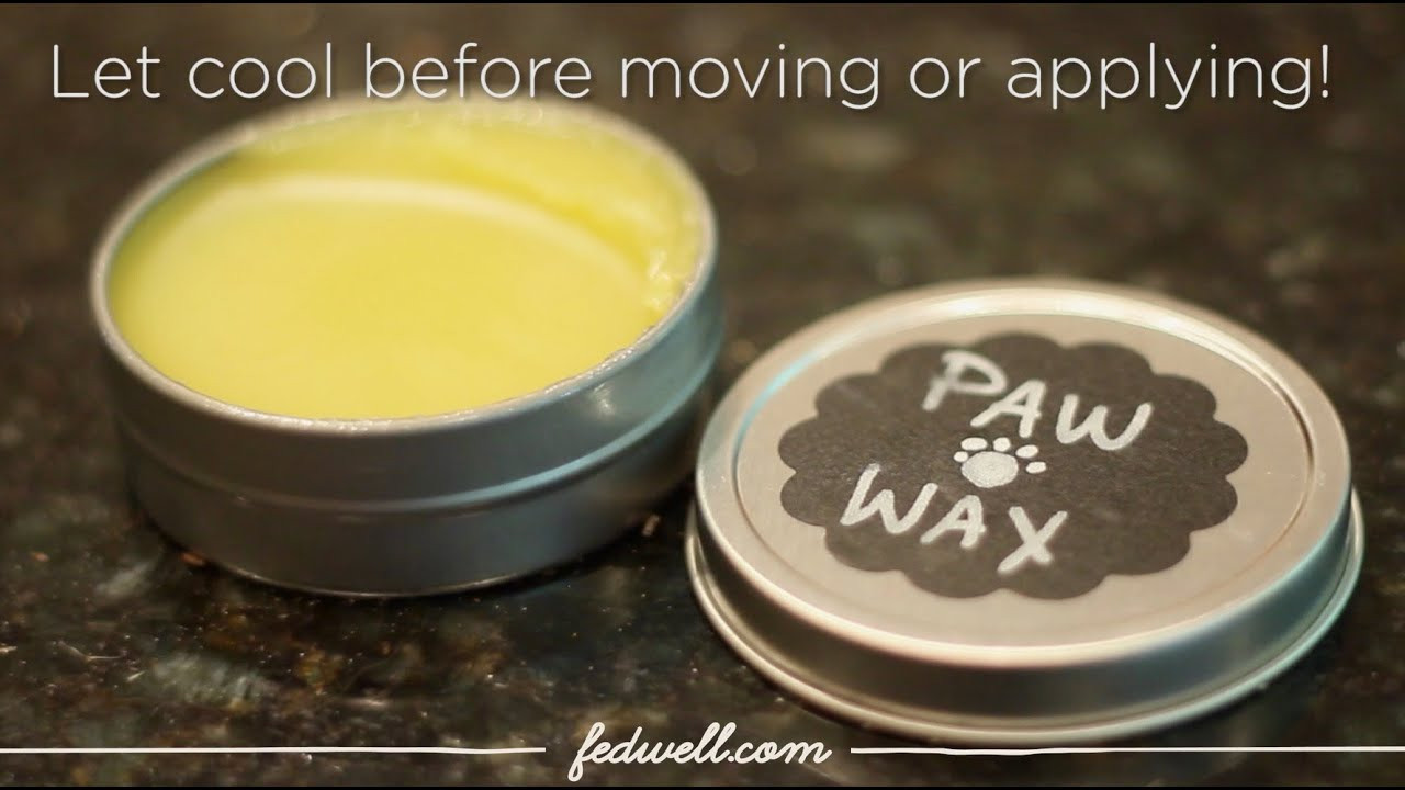 Best ideas about DIY Dog Paw Balm
. Save or Pin DIY Protective Paw Balm Now.