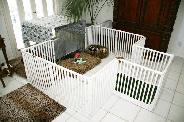 Best ideas about DIY Dog Pen Indoor
. Save or Pin Indoor Puppy Pen Now.