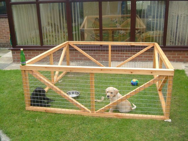 Best ideas about DIY Dog Pen
. Save or Pin Best 25 Dog pen ideas on Pinterest Now.
