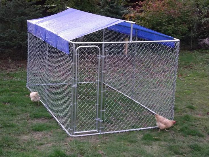 Best ideas about DIY Dog Pen Outdoor
. Save or Pin Dog Kennel Roof Cover Ideas Now.