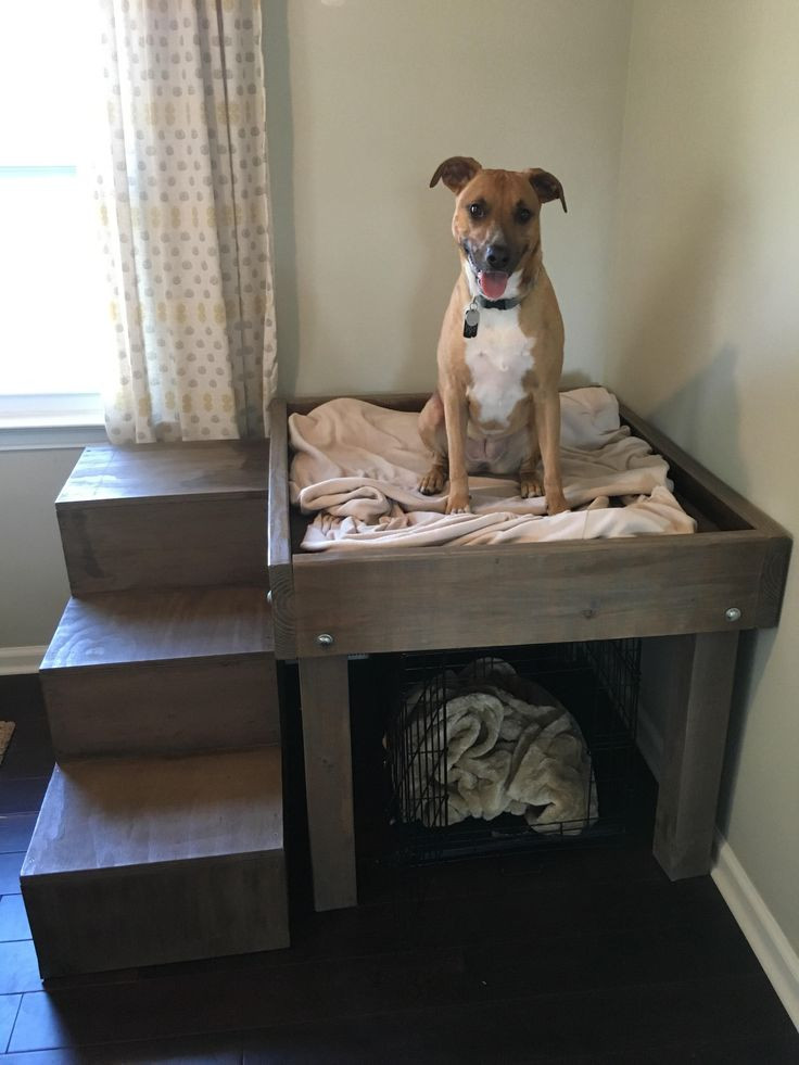 Best ideas about DIY Dog Platform
. Save or Pin Best 25 Homemade dog bed ideas on Pinterest Now.