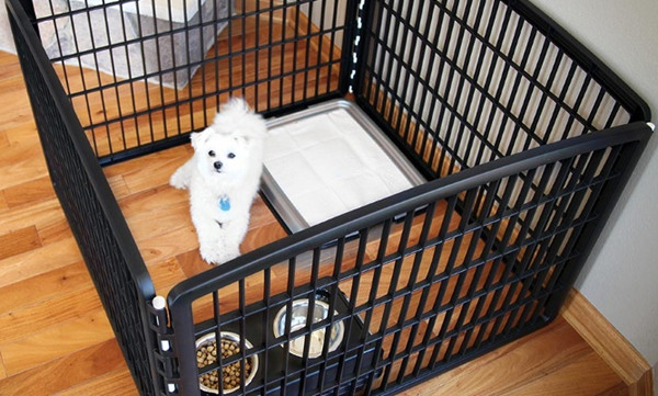 Best ideas about DIY Dog Playpen
. Save or Pin How to make your own puppy pen with pvc pipes Now.