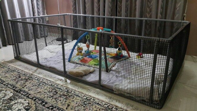 Best ideas about DIY Dog Playpen
. Save or Pin Dog Playpen DIY Playpen Made from pvc pipes and netting Now.