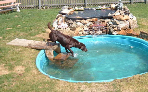 Best ideas about DIY Dog Pool
. Save or Pin DIY Wood Dog Pool Stairs petdiys Now.