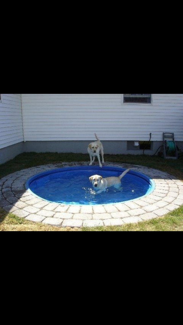 Best ideas about DIY Dog Pool
. Save or Pin 48 best Dog Scaped Yards images on Pinterest Now.