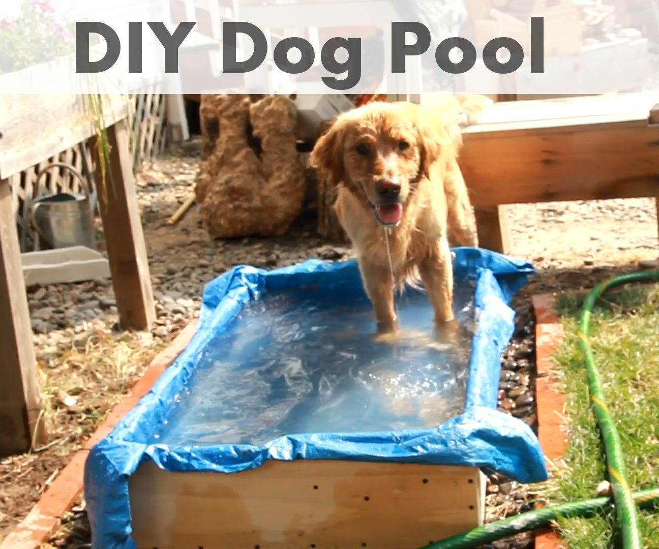 Best ideas about DIY Dog Pool
. Save or Pin DIY Dog Pool 5 Steps with Now.