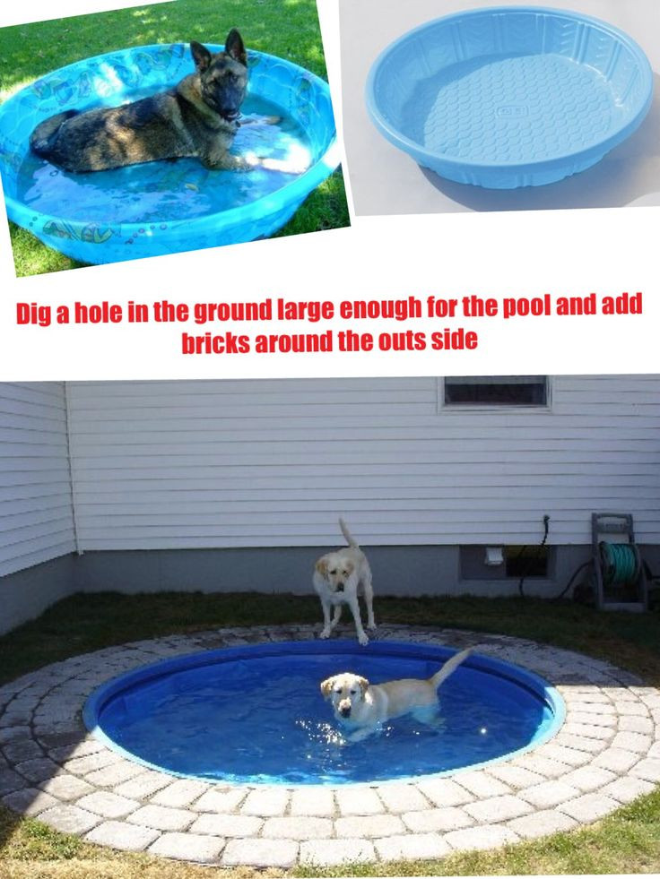 Best ideas about DIY Dog Pool
. Save or Pin 25 best ideas about Dog Pools on Pinterest Now.