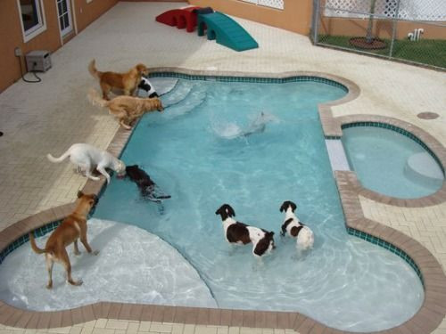 Best ideas about DIY Dog Pool
. Save or Pin 198 best images about creative pool designs on Pinterest Now.