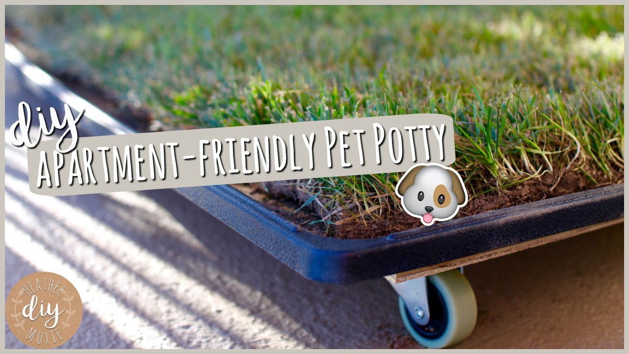 Best ideas about DIY Dog Potty
. Save or Pin DIY Apartment Pet Potty Now.