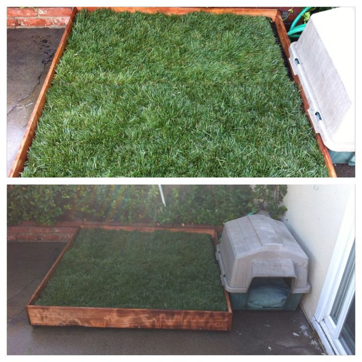 Best ideas about DIY Dog Potty
. Save or Pin DIY Potty Patch for Riley With REAL grass For about $60 Now.