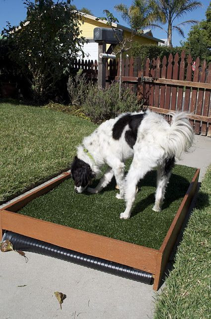 Best ideas about DIY Dog Potty Patch
. Save or Pin 1000 images about Diy dog porch potty on Pinterest Now.