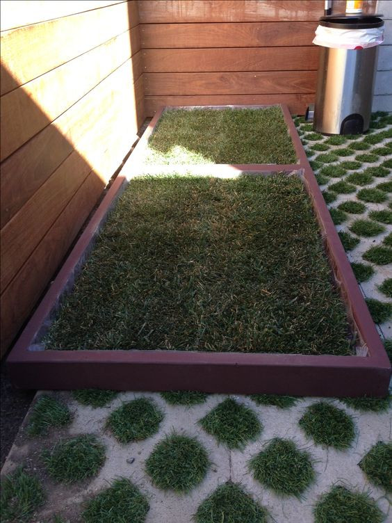 Best ideas about DIY Dog Potty Real Grass
. Save or Pin 2 large dog grass pad boxes pushed to her to create a Now.