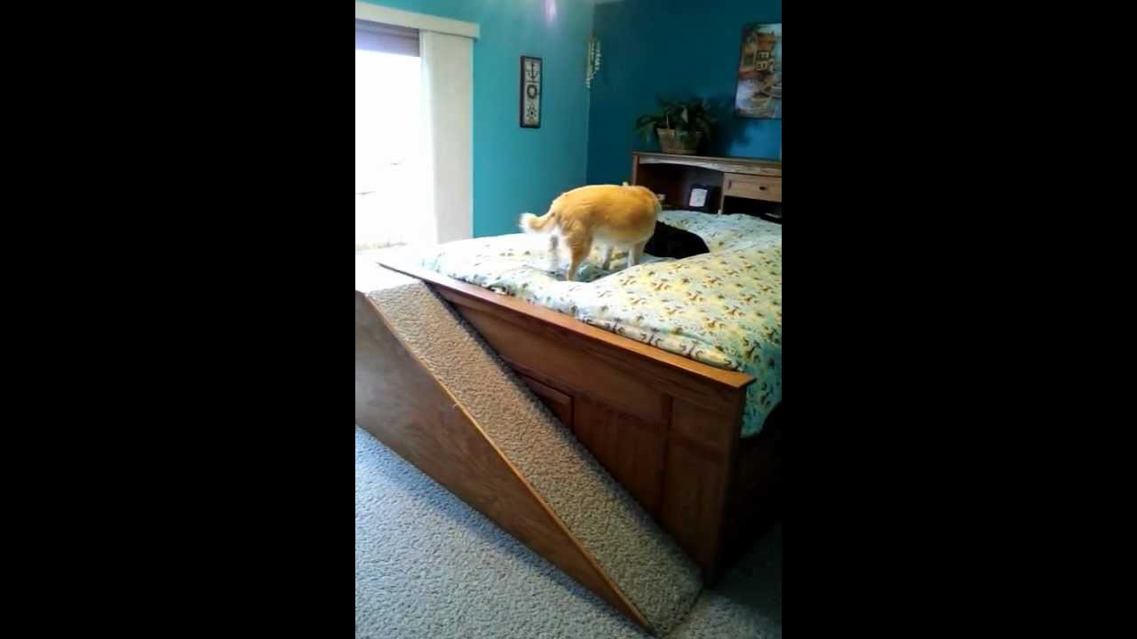 Best ideas about DIY Dog Ramp For Bed
. Save or Pin Dog Ramp to Bed Now.